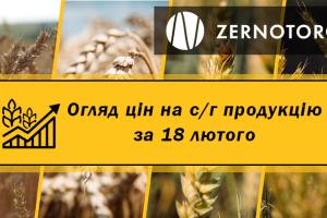 Ціни на зерно стабілізувались — огляд за 18 лютого від Zernotorg.ua