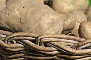 В Україні продовжує рости ціна картоплі