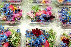 На Київщині сімейне господарство вирощує їстівні квіти