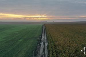 Після запуску ринку землі українці втратять право на отримання безкоштовної земельної ділянки