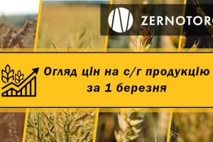 Ціни на зернові та олійні — огляд за 1 березня від Zernotorg.ua
