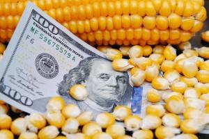 Світові ціни на зерно знову знижуються