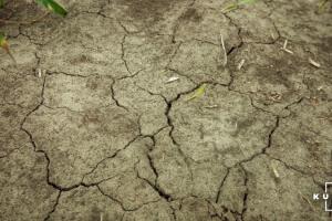 Синоптики прогнозують проблеми з урожайністю через сильну посуху