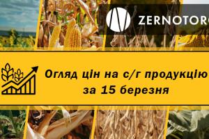 Ціна на соняшник активно зростає — огляд за 15 березня від Zernotorg.ua