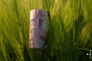 Фермер з Одещини ухилився від сплати податків на 2,8 млн грн