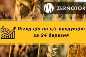 Ціни на зернові та олійні — огляд за 24 березня від Zernotorg.ua