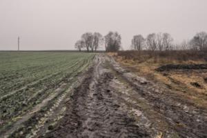 В Україні знизився рівень зволоження ґрунту — погодна аналітика
