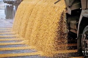 Білорусь заборонила експорт деяких зернових культур
