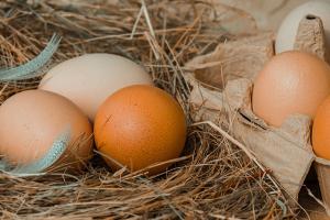 В Україні продовжує скорочуватися виробництво яєць