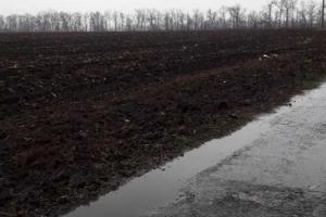 Фермера з Полтавщини звинувачують у розорюванні узбіччя дороги