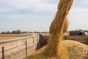 Україна ввійде у топ-5 експортерів зернових протягом наступних 10 років — прогноз