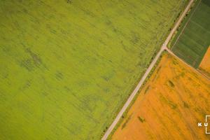 В Україні планують скасувати обмеження площі земель для ведення особистого господарства