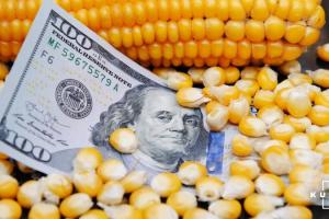 Ціни на кукурудзу знизились в очікуванні оновленого звіту USDA