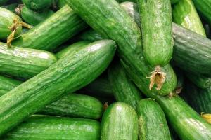 В Україні почали різко дешевшати огірки