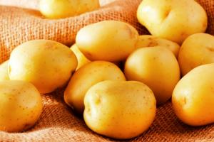 Бізнес на картоплі в Україні не працює — Дробязко
