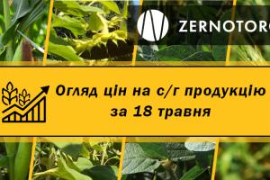 Ціни на зернові та олійні — огляд за 18 травня від Zernotorg.ua