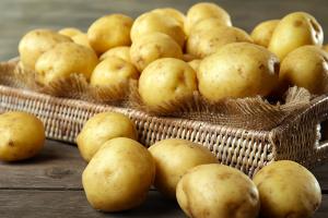 В Україні картопля не буде дешевою — фахівець
