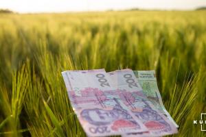 Українським аграріям спростять доступ до програм держпідтримки