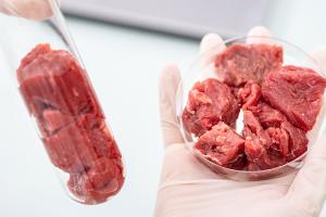 Вчені Кореї представили культивоване м’ясо
