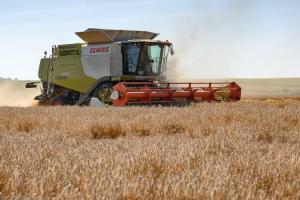 Аграрії США розпочали збір озимої пшениці
