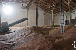 Аграріям розповіли, як не втрачати щорічно мільйони тонн зерна через шкідників запасів