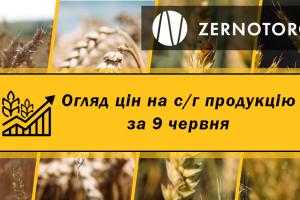 Ціни на зернові та олійні — огляд за 9 червня від Zernotorg.ua