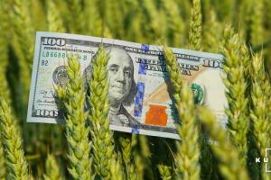 В США напередодні звіту USDA зросли ціни на сільгосппродукцію
