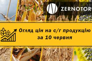Ціни на с/г продукцію — огляд за 10 червня від Zernotorg.ua