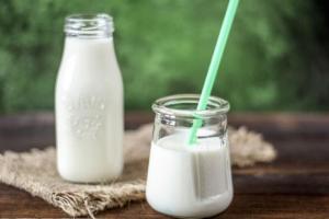 Виробництво молока у світі зростатиме — прогноз