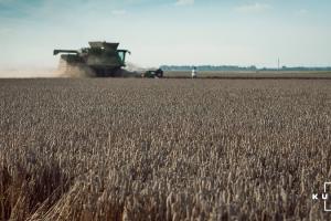 Херсонські аграрії можуть втратити  до 25% врожаю зерна 