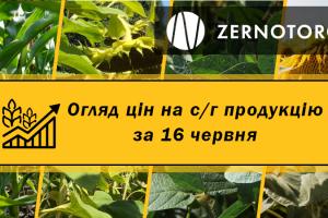 Ціни на зернові та олійні — огляд за 16 червня від Zernotorg.ua