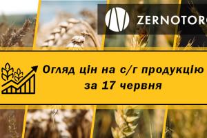 Ціни на с/г продукцію — огляд за 17 червня від Zernotorg.ua