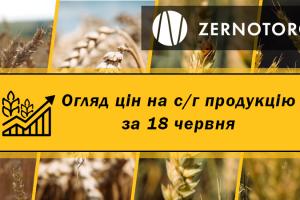 Ціни на зернові та олійні — огляд за 18 червня від Zernotorg.ua