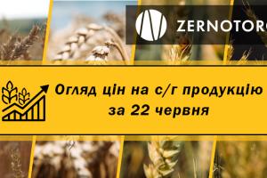 В Україні дешевшають зернові та олійні — огляд цін за 22 червня від Zernotorg.ua