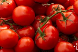 В Україні дешевшають огірки та помідори