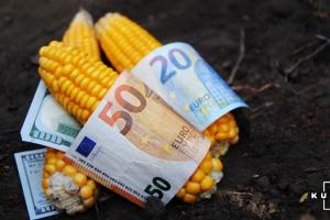 ЄС вводить масштабну підтримку фермерів