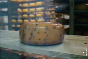 В Україні виробництво справжніх сичужних сирів скоротилось на 15%