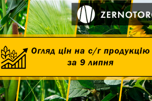 Ціни на с/г продукцію — огляд за 9 липня від Zernotorg.ua