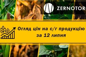 Ціни на с/г продукцію — огляд за 12 липня від Zernotorg.ua