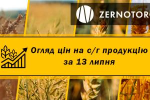 В Україні дешевшає ріпак — огляд за 13 липня від Zernotorg.ua