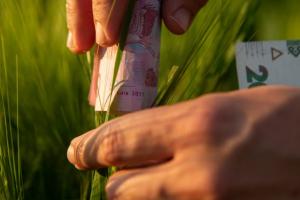 ПУМБ надав дрібним аграріям кредитів на понад 2 млрд грн