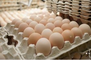 В Україні зменшилось виробництво яєць