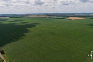 В Україні пропонують знизити максимальну кількість землі в одних руках до 500 га