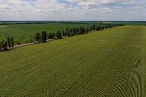 За три тижні дії ринку землі в Україні здійснили 1 400 земельних угод