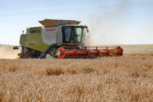 На Черкащині зросла середня врожайність зернових