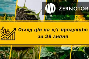 Ціни на зернові стабілізувались — огляд за 29 липня від Zernotorg.ua