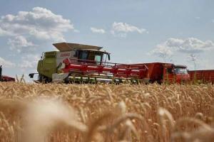 На Харківщині обмолочено 50% посівів ранніх зернових