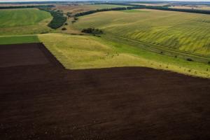 Середня ціна за гектар української землі складає 40 тисяч грн — Лещенко