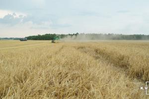 AgroOnline запустив систему прогнозування врожаю зернових