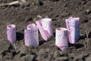 В Україні почали видавати кредити на купівлю землі